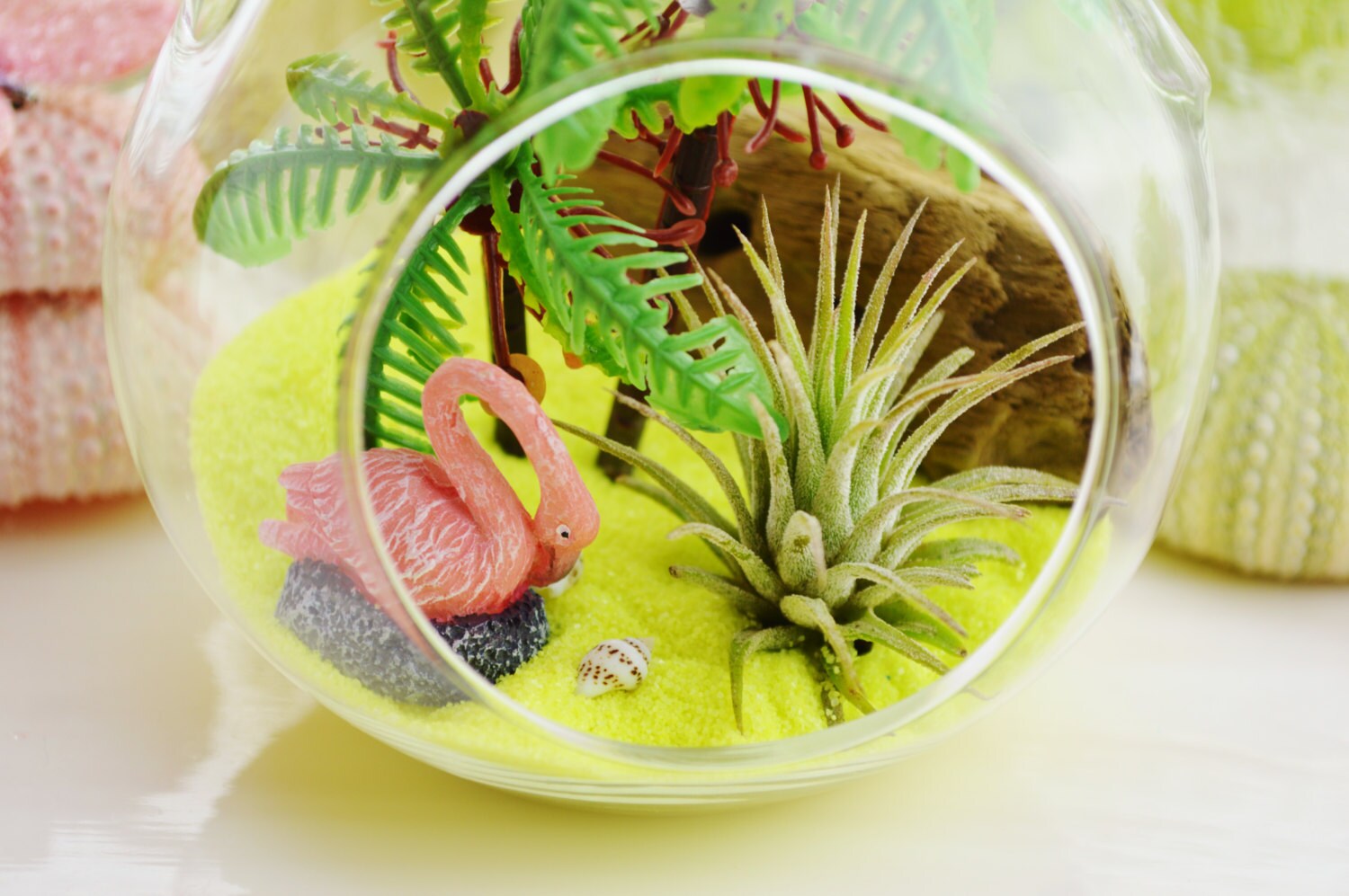 flamingo beach terrarium kit small air plant terrarium where do they sell real christmas trees