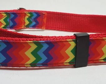 Zig zag rainbow dog collar
