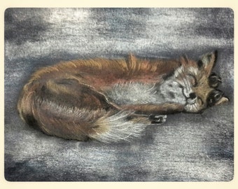 Fox Sleeping in Snow A4 Pastels on dark Ingres paper