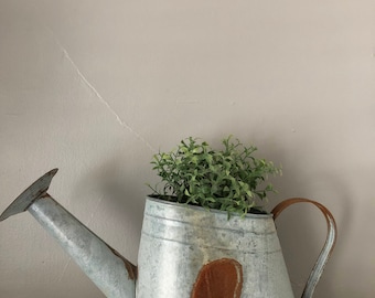 Galvanized Watering Can | Vintage, Shabby, Farmhouse, Gardening Watering Can