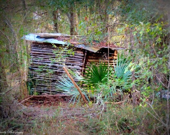 Hidden in the Louisiana Bayou, Nature Photography