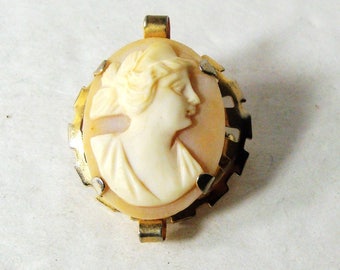Cameo Shell Pin, Classic Womans Portrait Carved In SeaShell Brooch, Tan and Cream Womans Head with Gold Metal Setting, 1960s