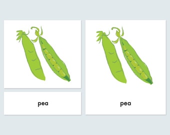 3 -Part Reading Cards -Montessori vegetable language cards-pdf download