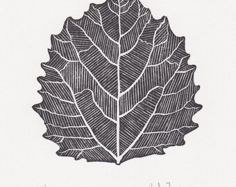 Block print: Bigtooth Aspen leaf - limited edition hand pulled fine art block print, linocut print (5 x 7")