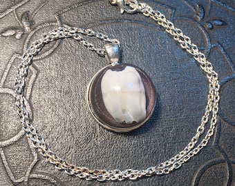 Real Human Tooth in Black Back Ice Resin Cameo Dental Molar Specimen Necklace