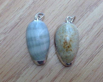 2 WHOLESALE spiral shells pendants silver trim has loops ready to hang obxbeadswholesale #676