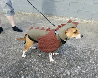Games of Thrones Dragon, Dragon Dog Costume, Games of Thrones dog costume