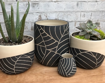 Medium black and white leaf carved planter - made to order - large planter - ceramic planter - succulent planter - pottery planter - modern