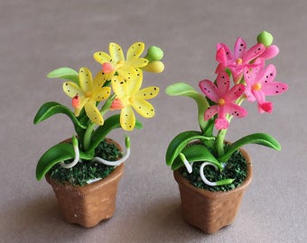 Miniature Flower,Miniature Flower Pot,Miniature Orchid,Dollhouse Flower,Miniature Garden,Dollhouse Orchid,Orchid Flower