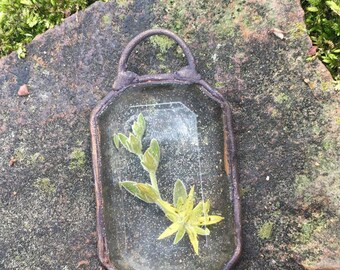 Plant Resin Necklace, Resin Flower Jewelry, Pressed Flower Jewelry, Crystal Resin Pendant, Terrarium Jewelry, Plants in resin, hippie