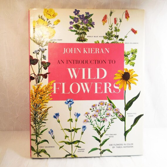 An Introduction to Wild Flowers