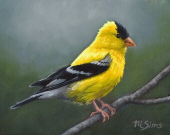 Goldfinch Art Print - bird painting - American Goldfinch - open edition print