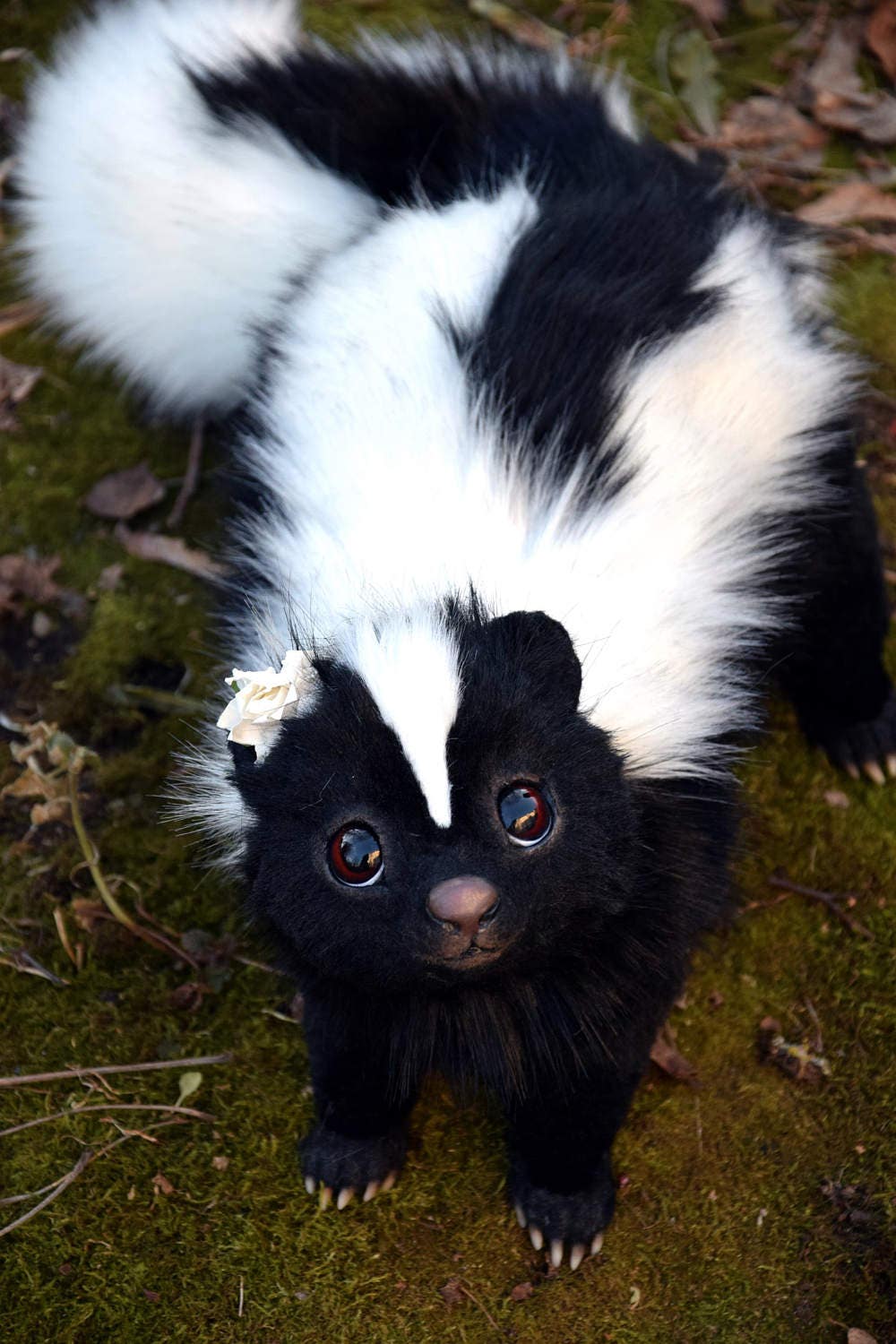 Skunk