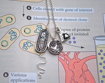 Microbiology Charm Necklace: Choose a Charm