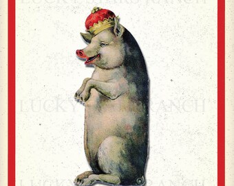 Vintage Feed Sack Art Print - Tail Curler Feed