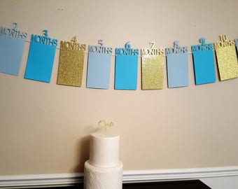 12 Month Banner Photo Banner Birthday Banner First Birthday First Year Banner Picture Banner 1st Year Banner 1st Birthday Banner