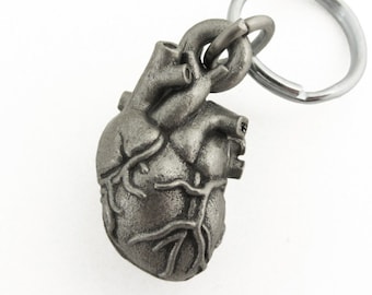 Human Heart Anatomy Keychain - Human Heart Locket, Cardiology, Medical Gift, Biology gift, Corazon, Anatomical Gift