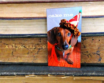 MAGNET Party Crasher Dachshund Cake Me