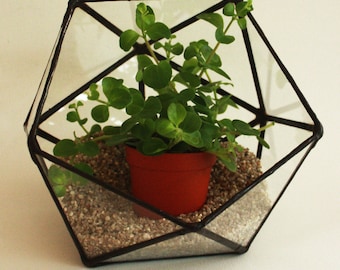 Geometric terrarium / stained glass planter / candle holder / display box / icosahedron