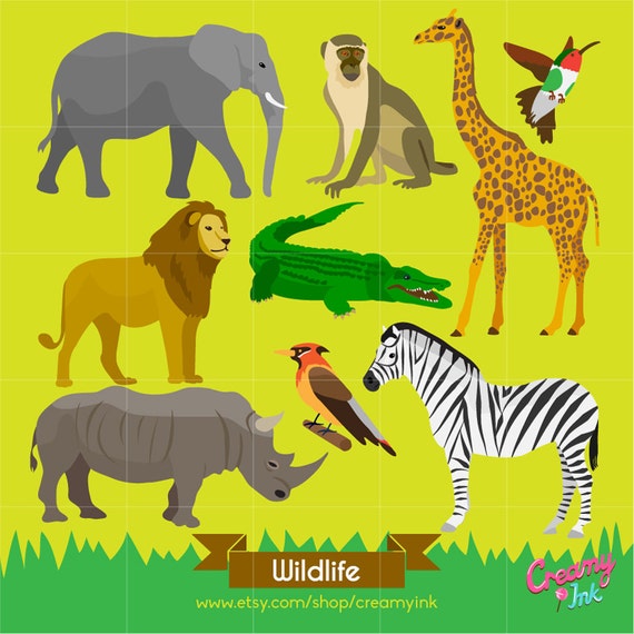 Wildlife Animals Digital Vector Clip art / Animal Clipart
