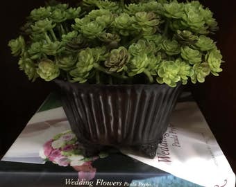 Faux Succulent Planter (Chicks)