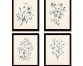 Vintage Botanical Sketch Prints Set No. 2, Botanical Prints, Giclee, Art Print, Vintage Botanicals, Illustration, Flower Prints, Flower Art