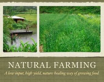 Natural Organic Farming 35 Books CD ROM IMO Bokashi Free Range Chicken Fukuoka