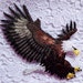 embroidered iron on applique/patch-EAGLE