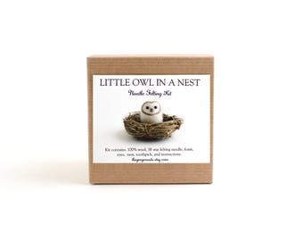 DIY Kit - Little Barn Owl in a Nest Needle Felting Kit - Needle Felted Animal Kit