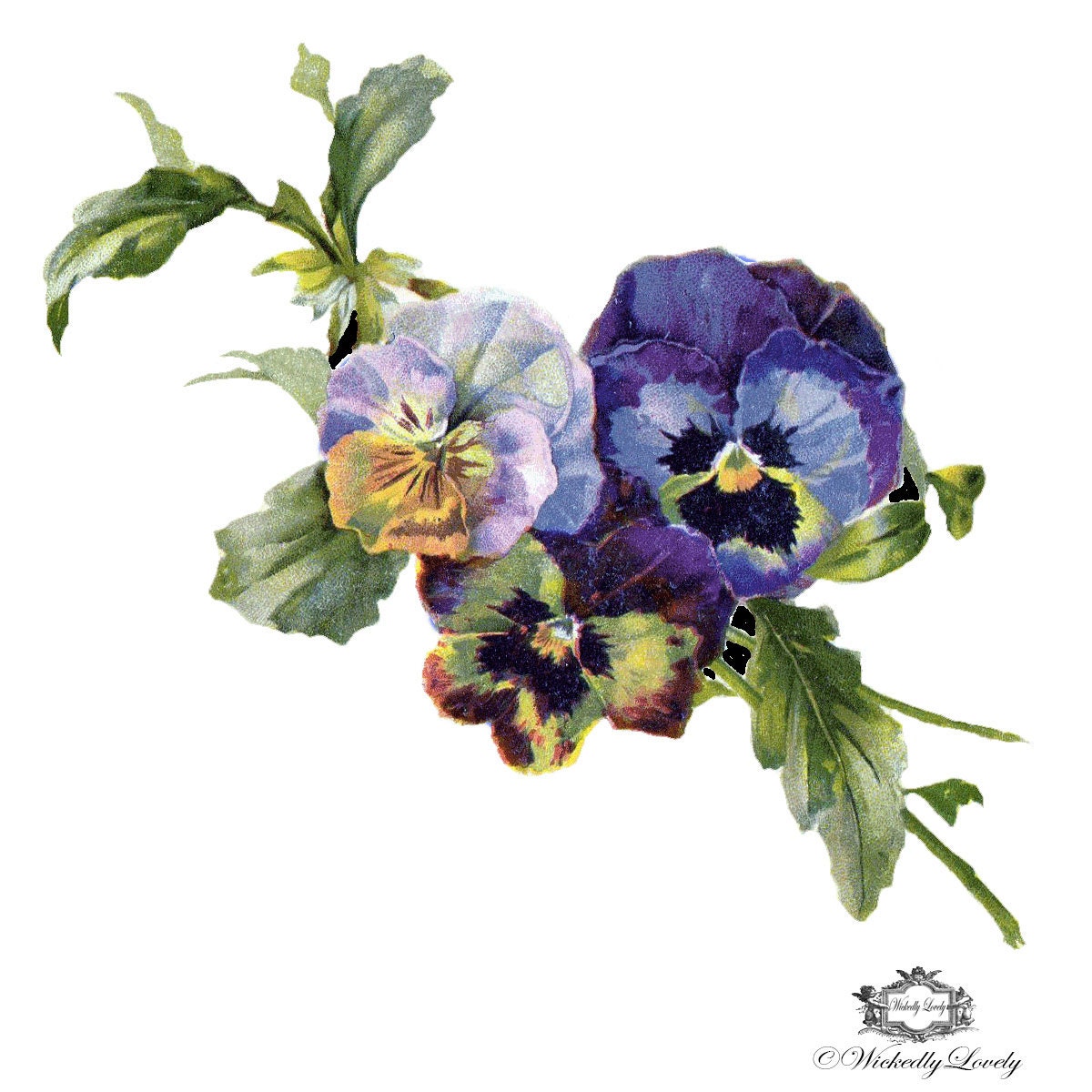 vintage pansies wickedly lovely skin art temporary tattoo vintage pansies wickedly lovely skin art temporary tattoo