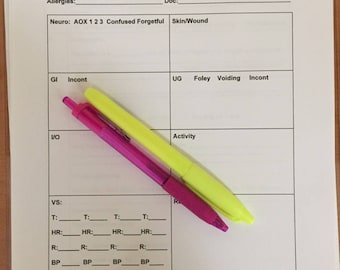 Nurse/Nursing Student Report/Brain Sheet