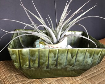 Beautiful pottery planter