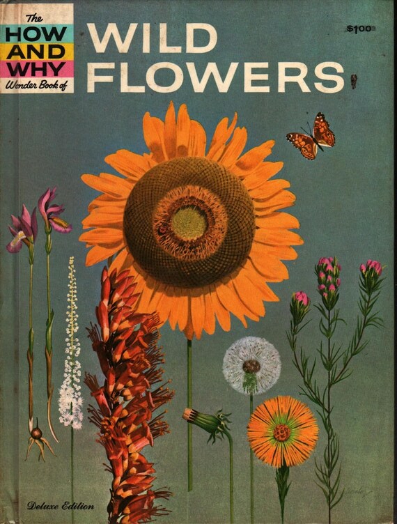 The How and Why Wonder Book of Wildflowers Deluxe Edition + Grace F. Ferguson + Cynthia Iliff & Alvin Koehler + 1962 + Vintage Kids Book