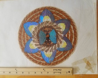 Blue Morpho Butterfly Art