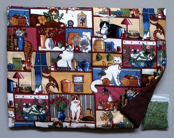 Catnip Mat and Catnip Housecats Refillable Reversible