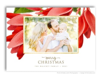 Christmas Photo Card Template - Vintage Floral - Photoshop Template for Photographers - 7x5 - MODERN VINTAGE - 1674