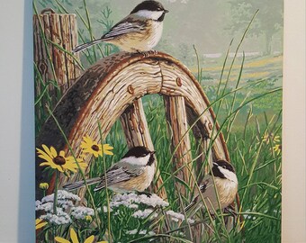 Paint by Numbers Meadows Edge