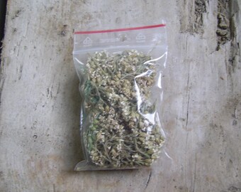 Organic Irish Dried Yarrow, Woundwort, Staunchweed, Herbe Militaris, Devil's Nettle, Soldier's Woundwort, Nosebleed Plant, Old-Man's Pepper