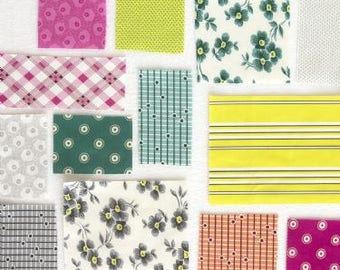 Washington Depot Collection by Denyse Schimdt Charmpack