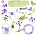 Watercolor Pansies collection - Commercial and Personal Use