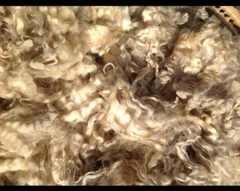 Extra Large Bag Raw English Leicester Longwool Lamb Locks New Zealand