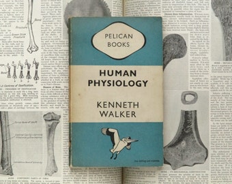 1940s human biology book Human Physiology by Kenneth Walker