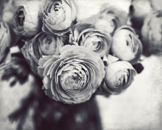 Black and white flower still life gray botanical wall art Black and white flower still life gray botanical wall art