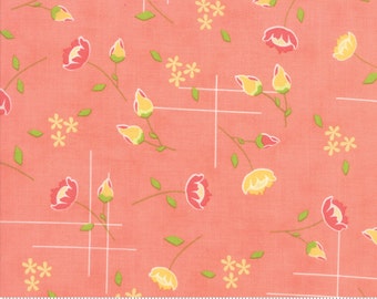 Lulu Lane (29021 14) Peach Meadow by Corey Yoder