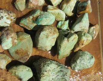 Turquoise, Sky Blue, White Turquoise, over 1/2 pound 008