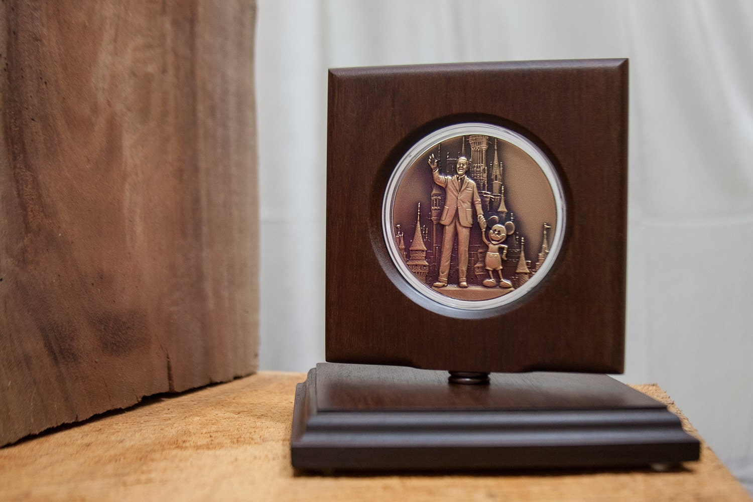 Disney Coin Display Magic Kingdom Coin Military Challenge