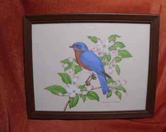 Vintage Blue Bird On Jasmine Branch Art Print Signed Richard A. Parks