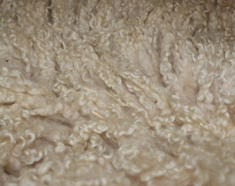 Border Leicester "Beau" Raw Wool