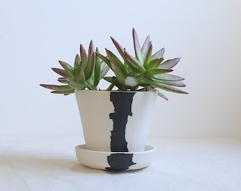 Crater Planter Mini Planter with Attached Saucer All in One Planter Ready to Ship