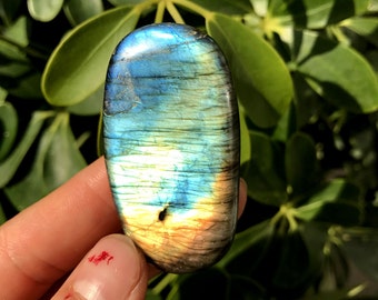 Labradorite Medium-Large Tumbled Semi Precious Palm Stone#126A